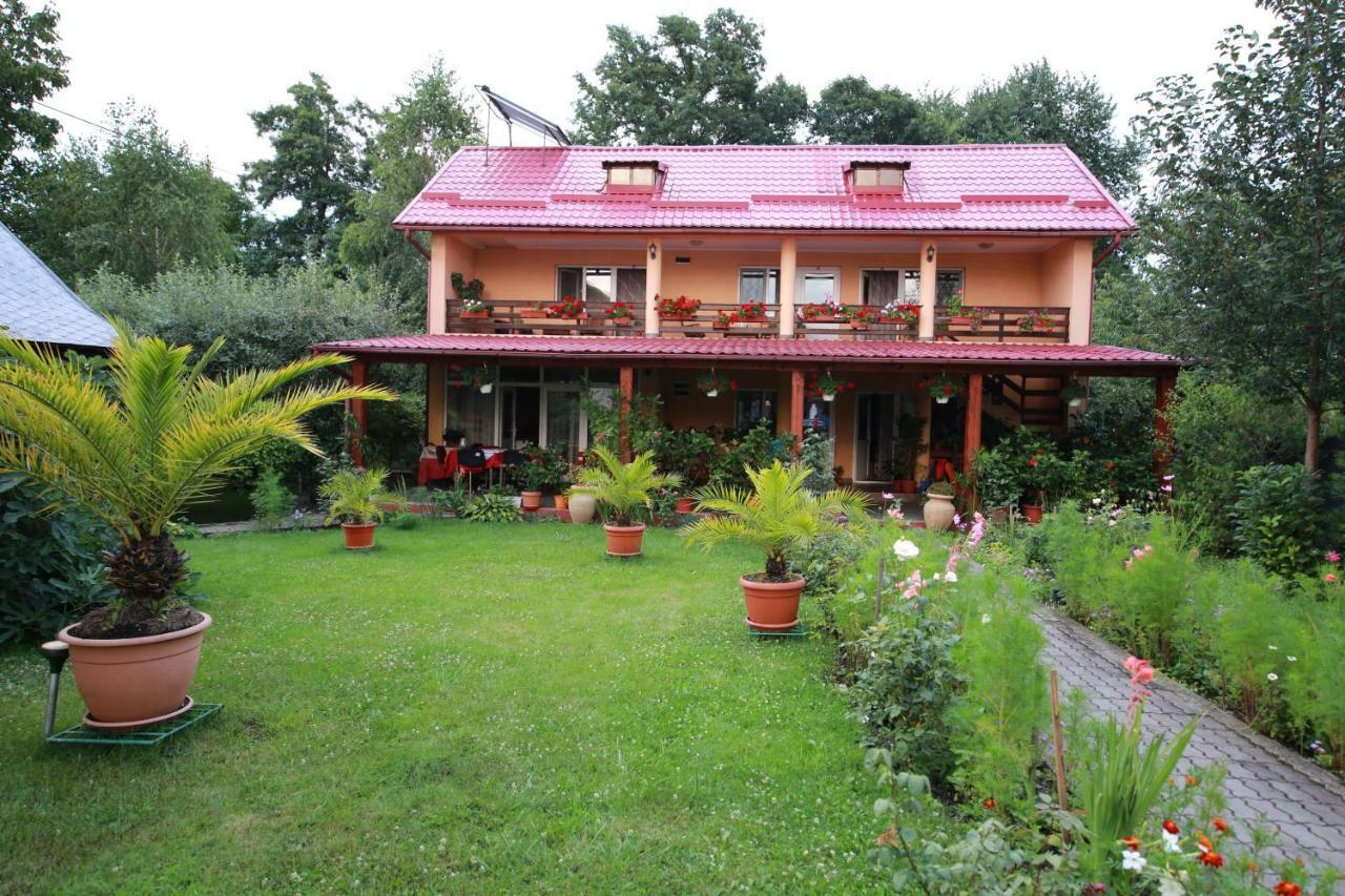 Pensiunea Criveanu Horezu Exterior photo
