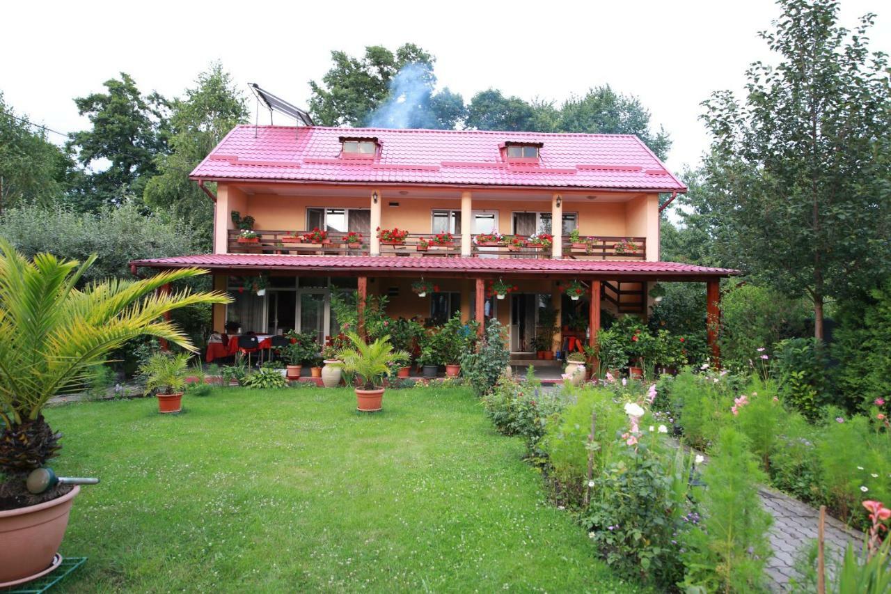 Pensiunea Criveanu Horezu Exterior photo