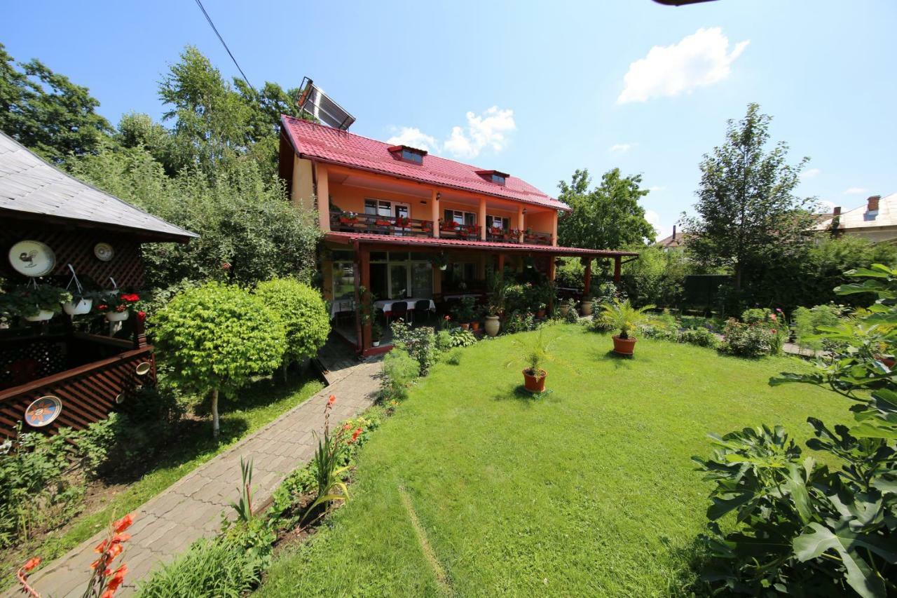 Pensiunea Criveanu Horezu Exterior photo